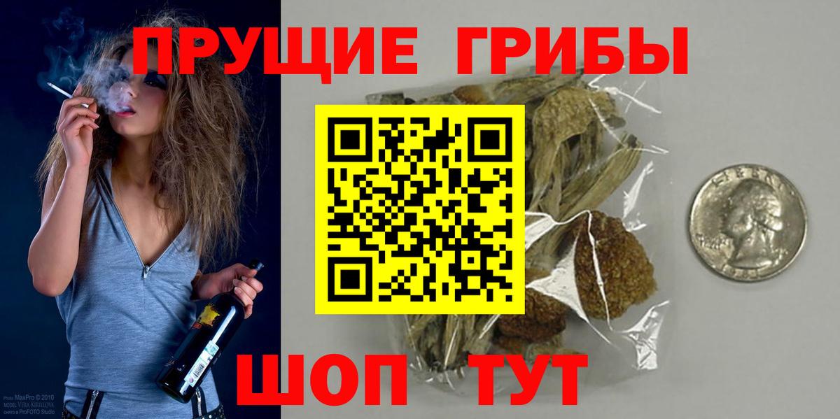 купить  сайты  Вход с VPN  Кировск  Галлюциногенные грибы GOLDEN TEACHER 